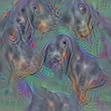 n02088632 bluetick